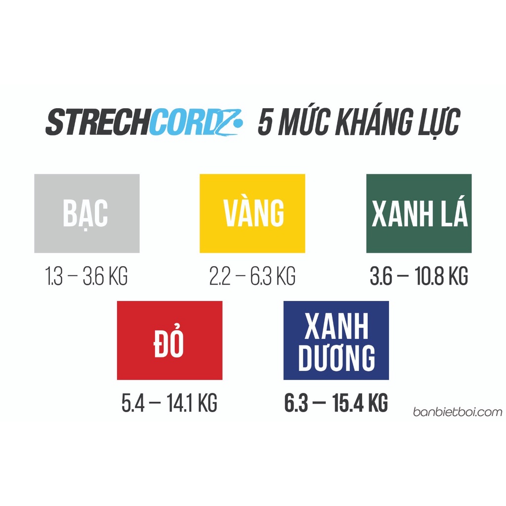 Dây tập chân dưới nước kháng lực bơi lội NZCORDZ Kick Trainer S123