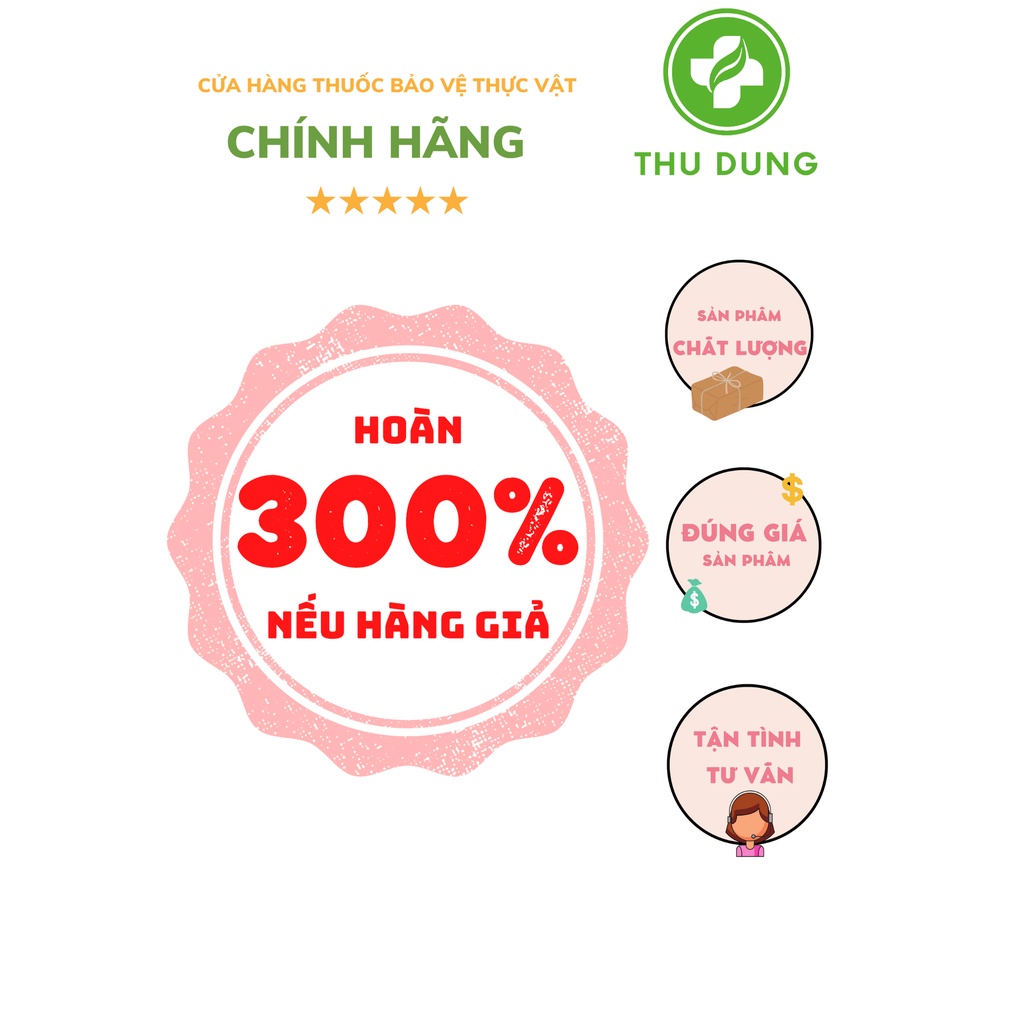 VÔ GẠO LÚA VÀNG