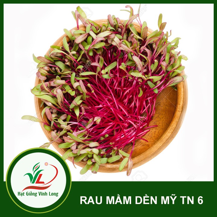 Hạt giống rau Mầm dền Mỹ TN 12 - 25g