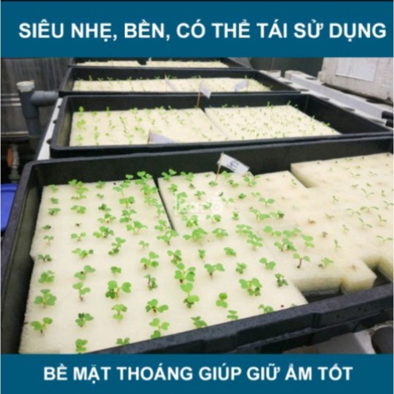 Giá thể  trồng rau