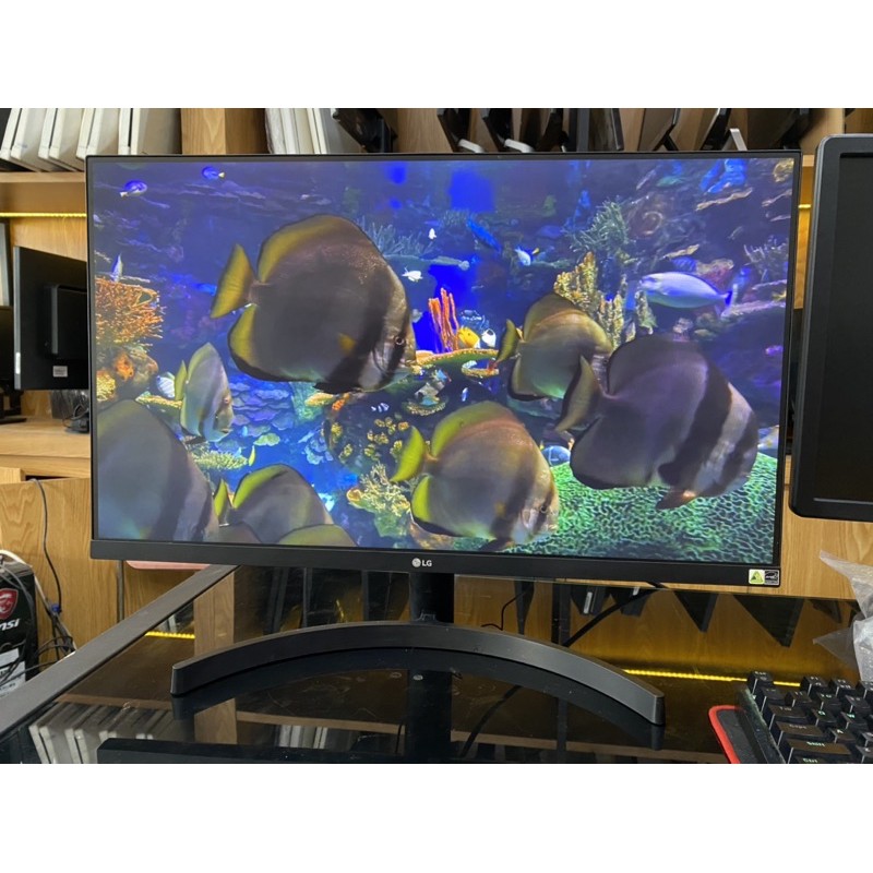 MÀN HÌNH 27 INCH LG27MK600 75HZ PHUN BOX