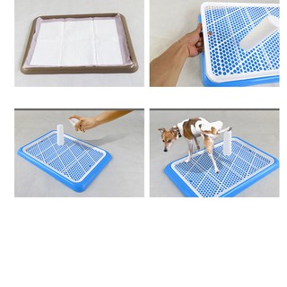 Khay vệ sinh cho Chó To cỡ lớn 65x48 cm có cọc