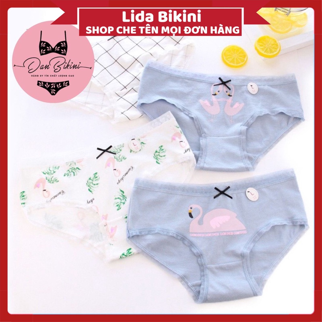Quần lót Nữ - Quần Lót Nữ Nữ Cotton Flamingo màu sắc tươi mới trẻ trung DAN STORE MÃ C087