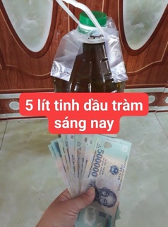 Tinh dầu tràm nguyên chất 50ml