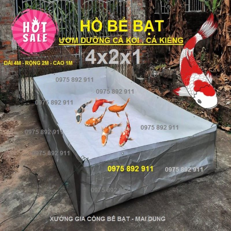 Hồ bể bạt ươm nuôi dưỡng cá koi , cá kiểng , ốc , ếch cá lươn