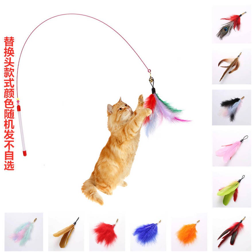 Cat Toy Funny Cat Stick Thép Silk Color Feather Belt Bell Tag Cat Đồ chơi Pet Cat Đào tạo mèo Rod Tương tác tạo tác