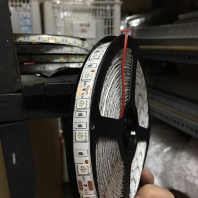 Dây led 5050 24V 5m/cuộn chống nước