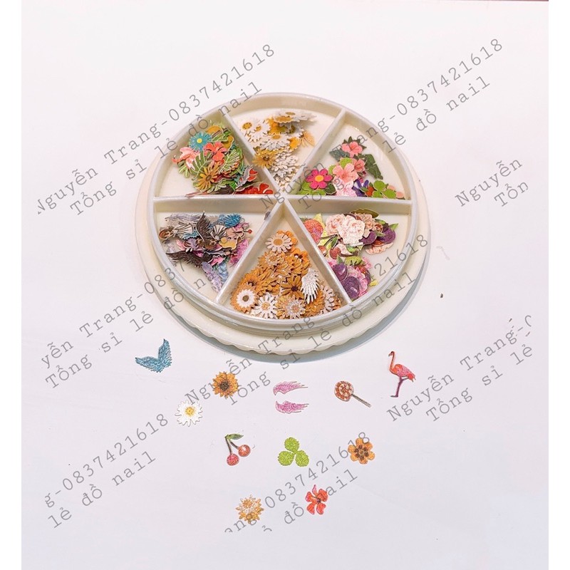 Set hoa bướm ẩn nail