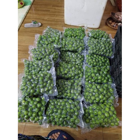 sấu xanh hút chân không 1kg❤️GIÁ SỈ❤️ giòn ngon dày thịt