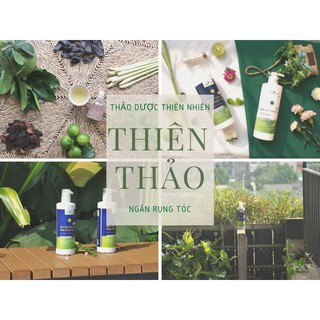 Dầu gội và xả thảo dược Thiên Thảo