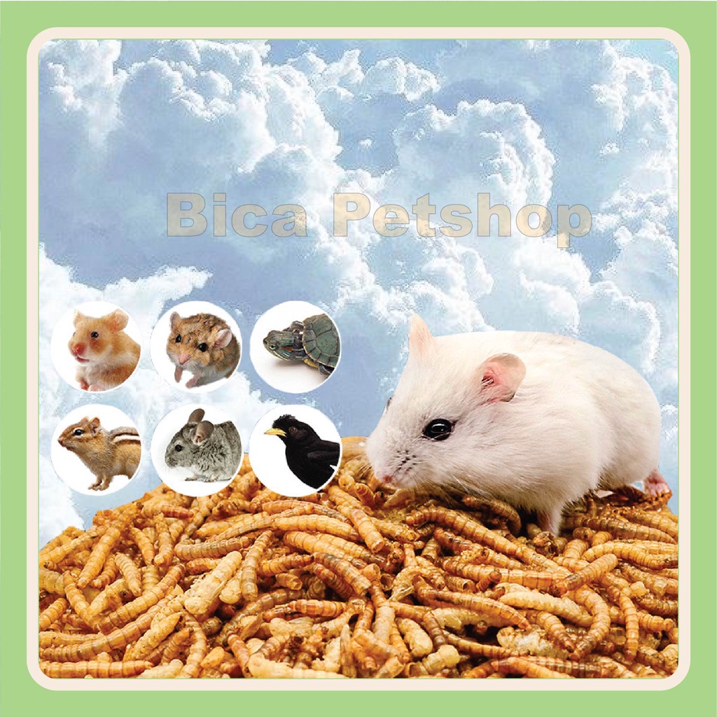 Sâu rang 20g cho Hamster, Sóc, Rùa, Chinchilla,..