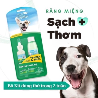 𝗨𝗿𝗯𝗮𝗻_𝗧𝗿𝗼𝗽𝗶𝗰𝗹𝗲𝗮𝗻_Bộ kit vệ sinh răng miệng cho chó