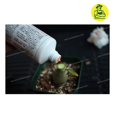Keo liền sẹo TopJin Nhật Bản 200gr, Liền sẹo vết cắt cành cây bonsai, cây cảnh, hoa lan