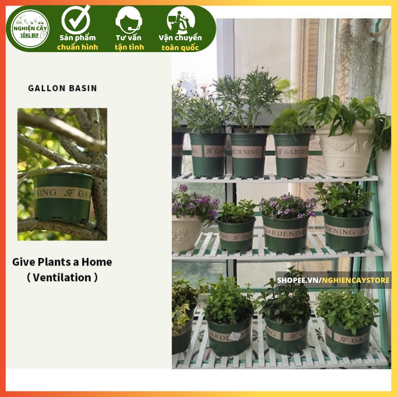 Chậu nhựa Gardening kèm đĩa lót trồng hoa, cây cảnh cỡ nhỏ đến trung bình