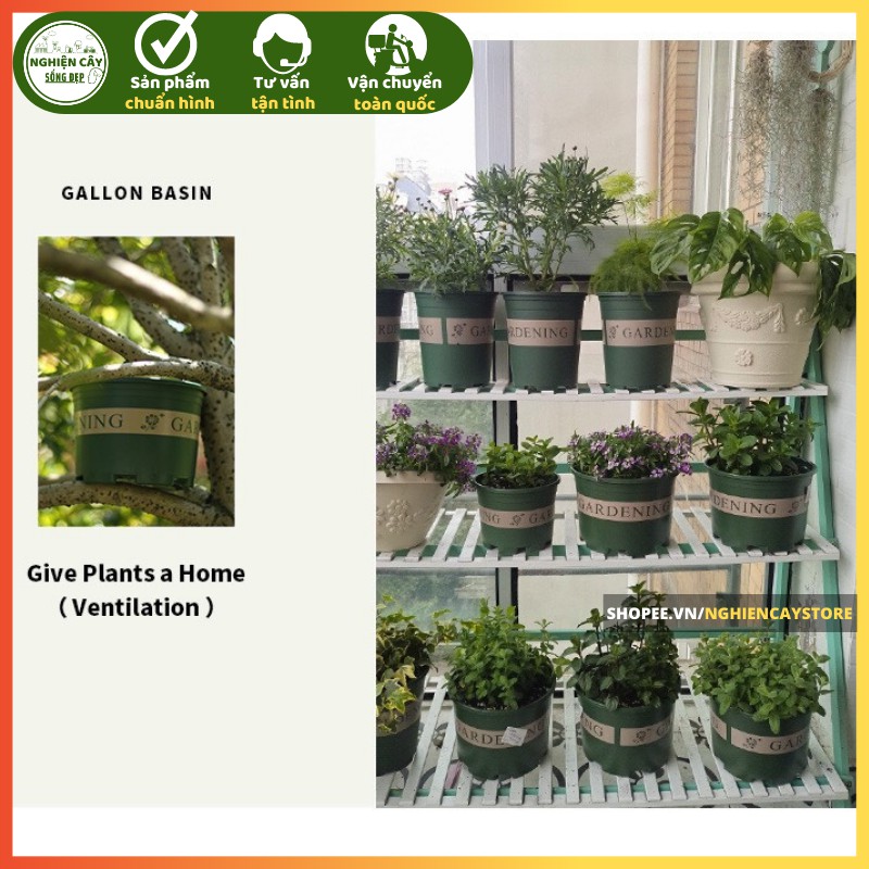 Chậu nhựa trồng cây Gardening kèm đĩa lót hàng cao cấp nhiều kích cỡ