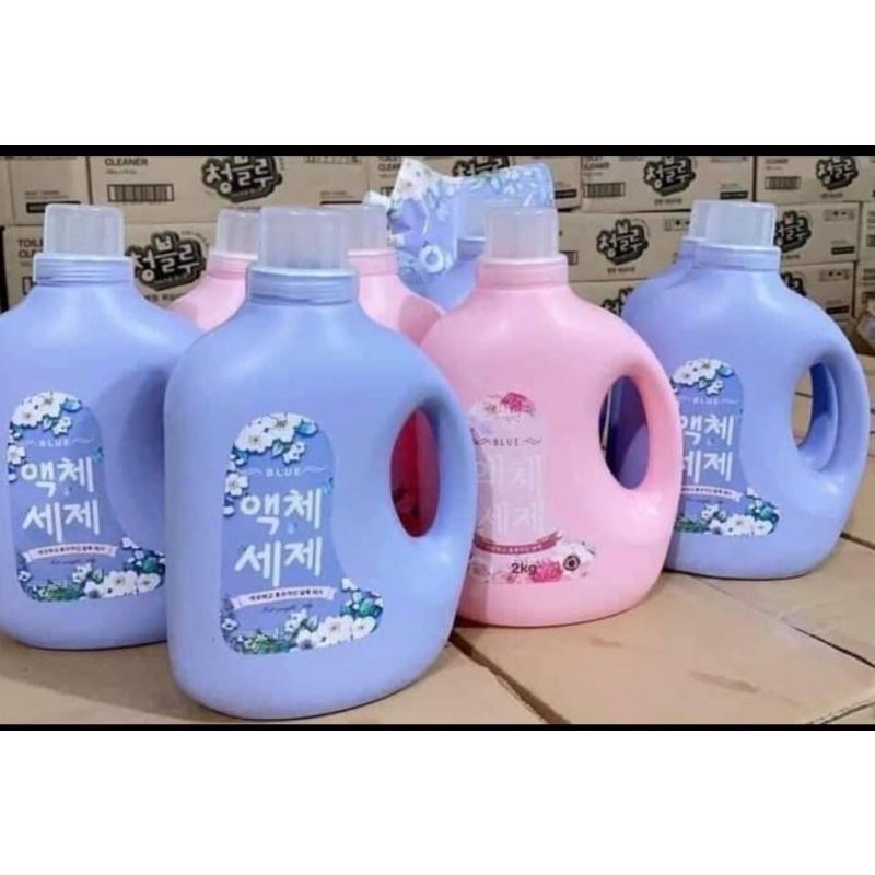 Nước giặt Blue - Tomy Hàn Quốc can 2000ml hương nước hoa