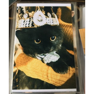 Ảnh 6x9, 7x10, 9x12, 10x15 ép plastic