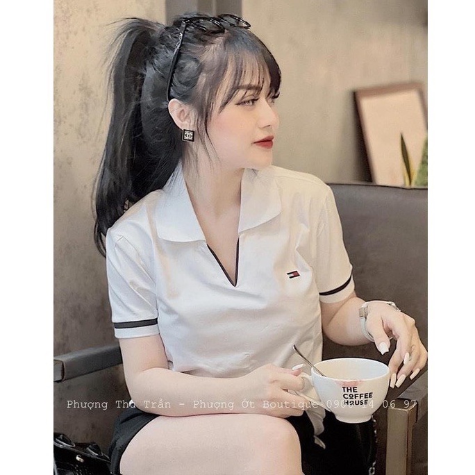Áo polo nữ Bingshop cổ dệt bo len tay vải cá sấu cao cấp hàng có size
