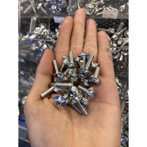 Ốc Salaya INOX304 size 4-5-6-8li xoắn - nhuyễn bắt dàn áo - đĩa