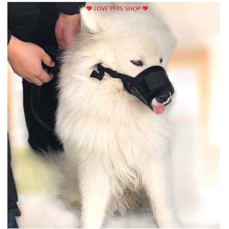 RỌ MÕM CHO CHÓ BẰNG VẢI LƯỚI THOÁNG KHÍ (COMBO: 10 CÁI) -  LOVE PETS SHOP