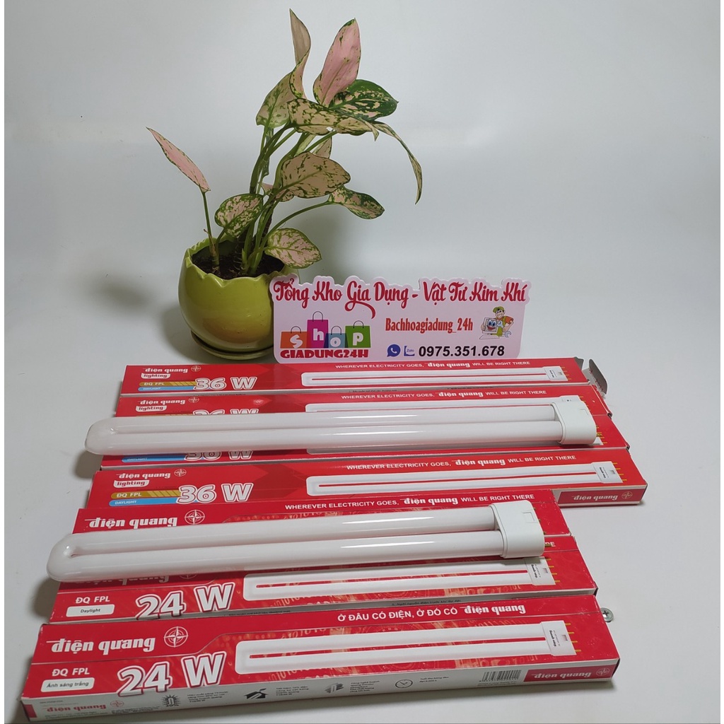 Bóng đèn chữ U DOUBLE WING 24W / 36W thay thế-Giadung24h