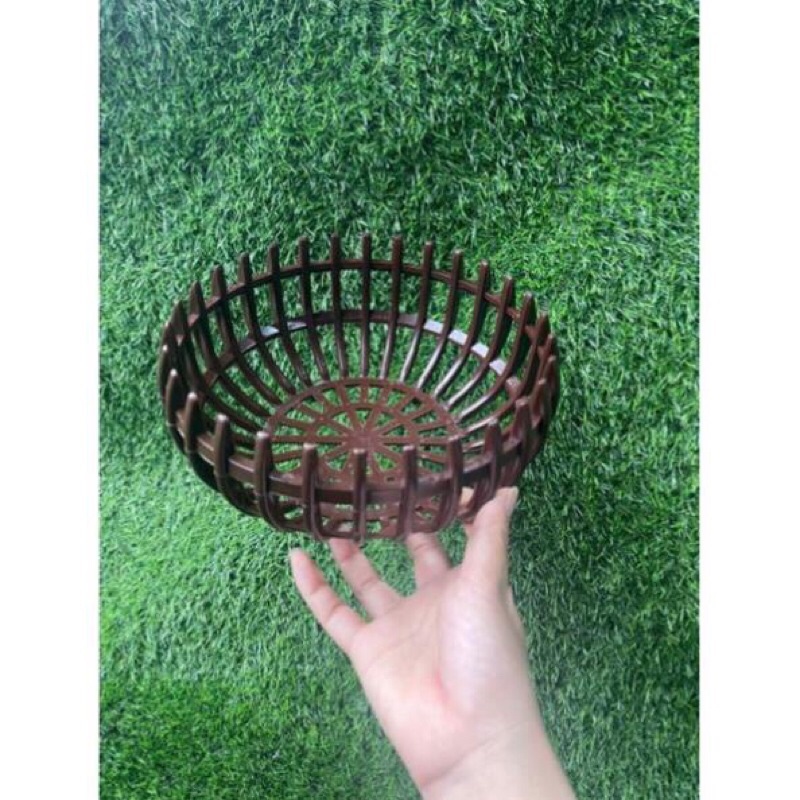 Giảm giá -  HẠT GIỐNG HOA ĐỒNG TIỀN MIX F1- Loài Hoa May Mắn, Nhiều Tài Lộc, hàng sẵn