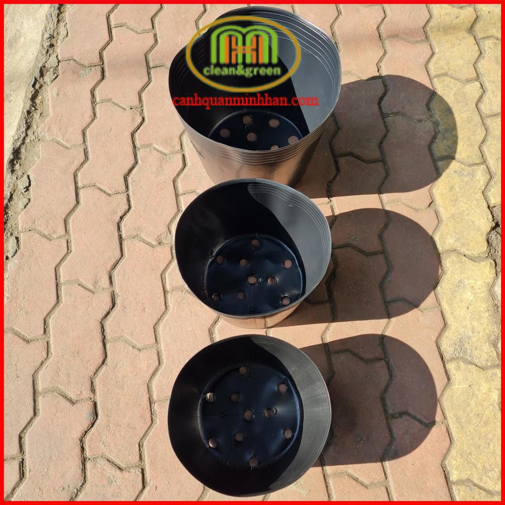 Chậu nhưạ đen C10 ươm cây trồng cây hoa Tết 25x20cm combo 10 cái Minh Hân Garden