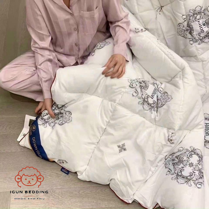 Ruột chăn lông vũ hilton chính hãng siêu phẩm cho mùa đông