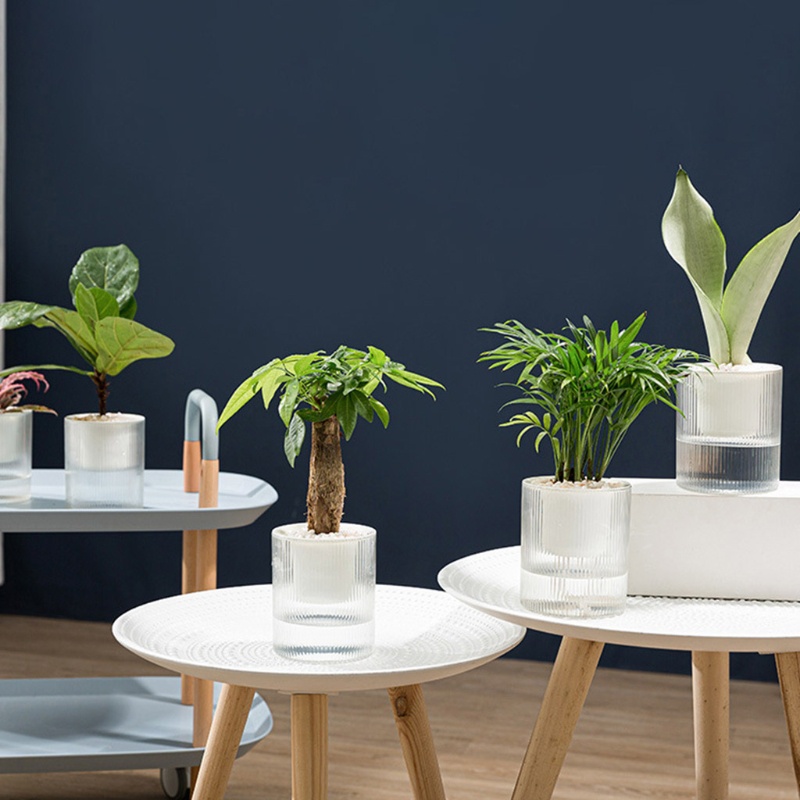 Chậu Nhựa Trồng Cây Thủy Canh 2 Tầng Hình Tròn Màu Trong Suốt Có Dây Thừng