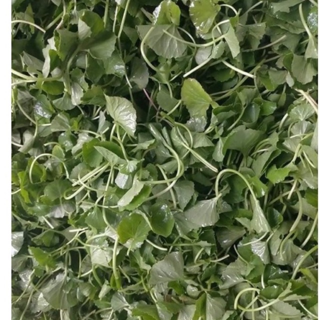 Bột rau má nguyên chất 100g