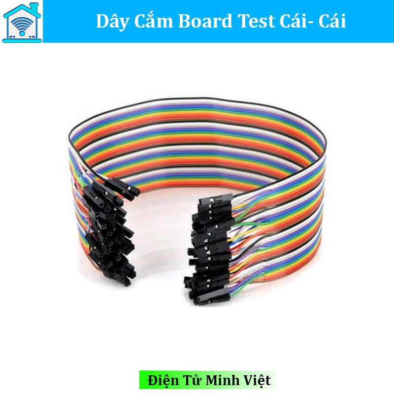 Dây Cắm Board Test Cái Cái 20Cm (40 Sợi)