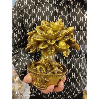 Cây kim tiền bằng đồng cao 21cm, cây kim tiền phong thủy,vật phẩm phong thủy