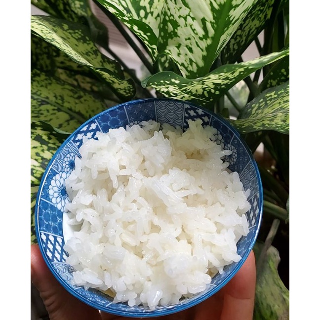 Gạo Sen vja food
