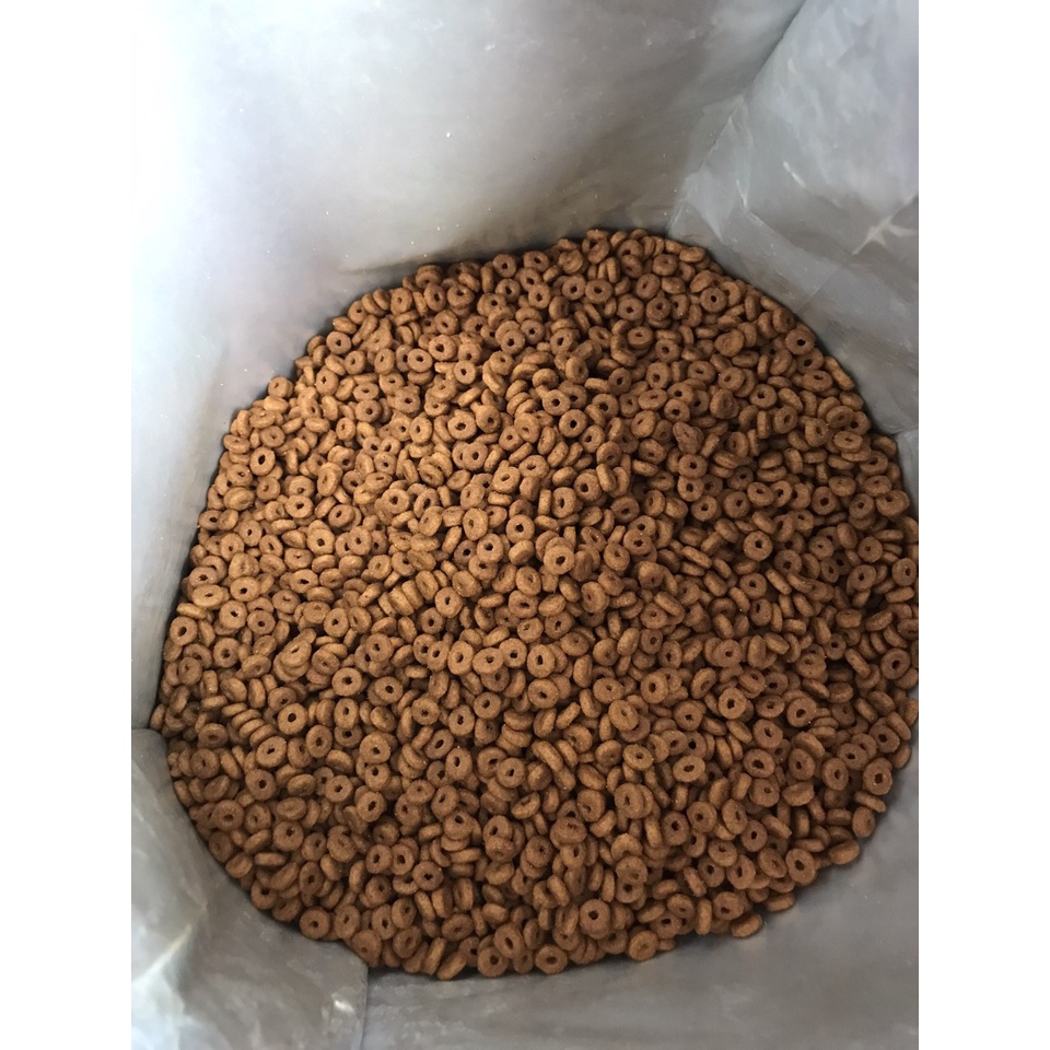 Hạt Cho Mèo Cao Cấp ROYAL CANIN FIT 32 - Túi 1kg