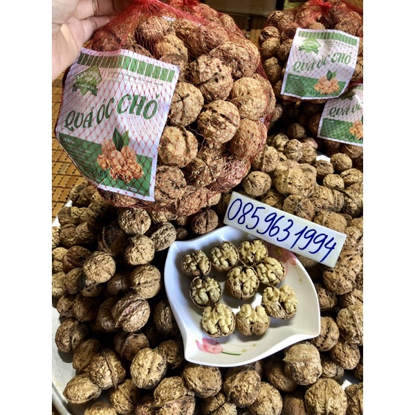 1KG QUẢ ÓC CHÓ NẾP TÂY BẮC