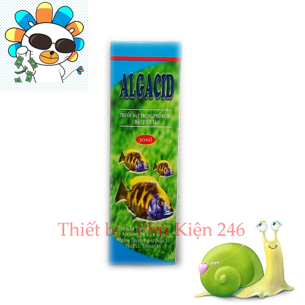 Thuốc diệt tảo rêu làm đục nước AlgaCid