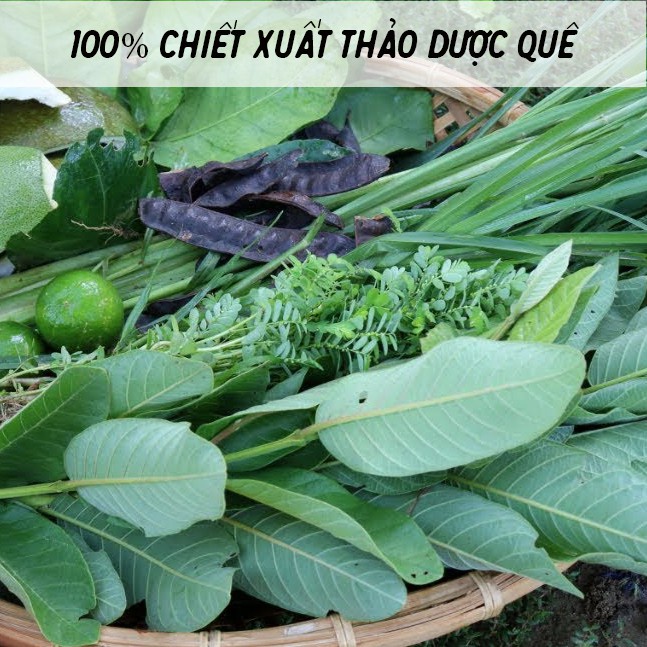 Xịt dưỡng tóc tinh dầu bưởi oliu mềm mượt QUÊ MỘT CỤC tóc dài khỏe giảm rụng phục hồi hư tổn 100ml