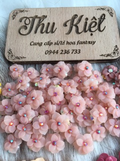 Hoa làm nail