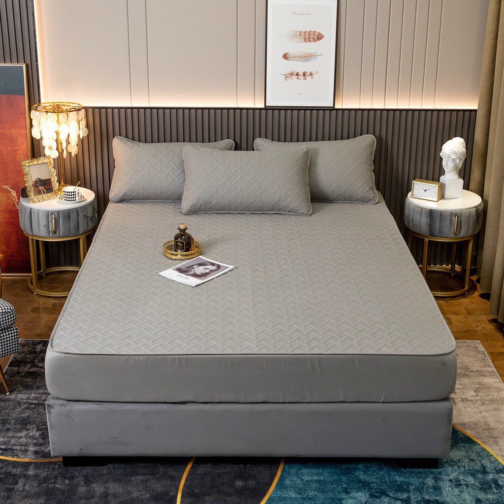 Ga chống thấm chun trần Cotton mẫu mới, êm dịu, thoáng mát