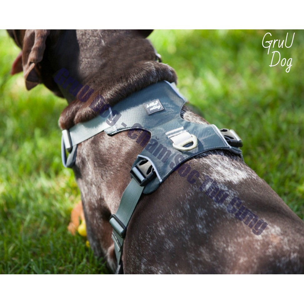 Đai Yếm dắt chó đi dạo GruU Dog cao cấp