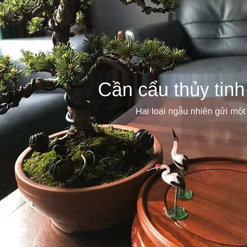 ♗▬Cẩu Nhỏ Trắng Thủy Tinh Hồng Non Bộ Bonsai Sheung Shui Đá Đồ Trang Trí Động Vật Mọc Miệng Vi Cảnh