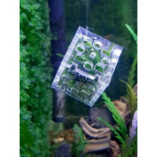 [ACRYLIC RẺ ĐẸP] CUBIC RÊU 3CM