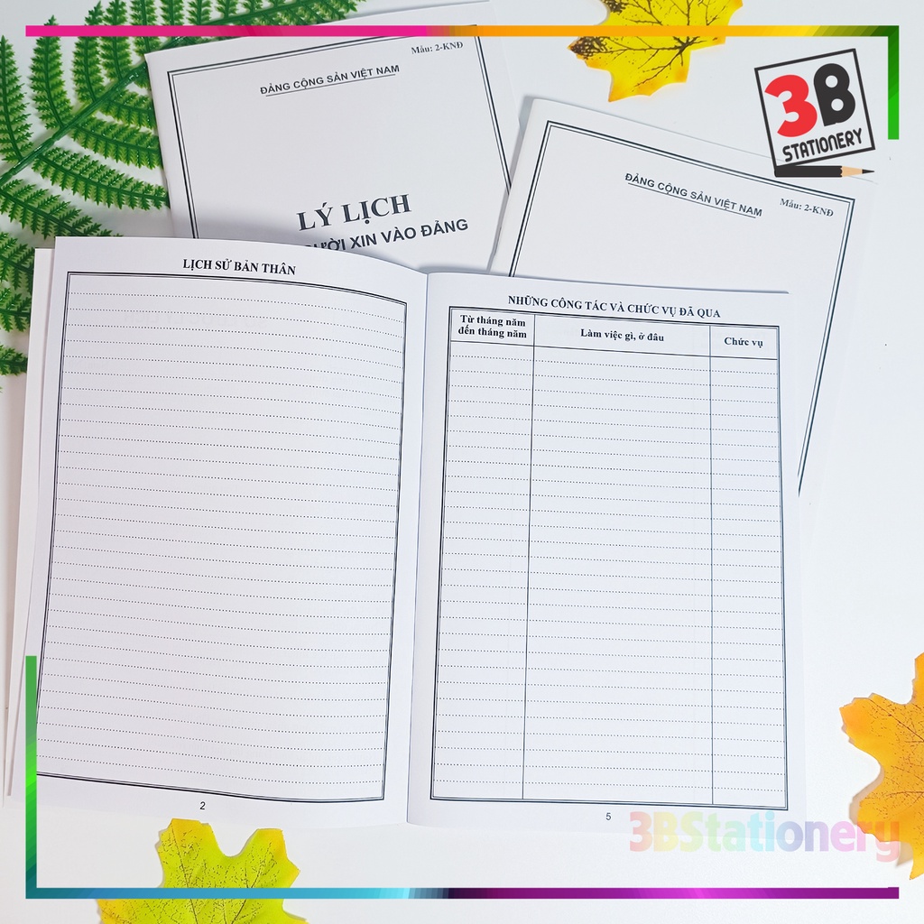Lý lịch của người xin vào Đảng mẫu 02-KNĐ