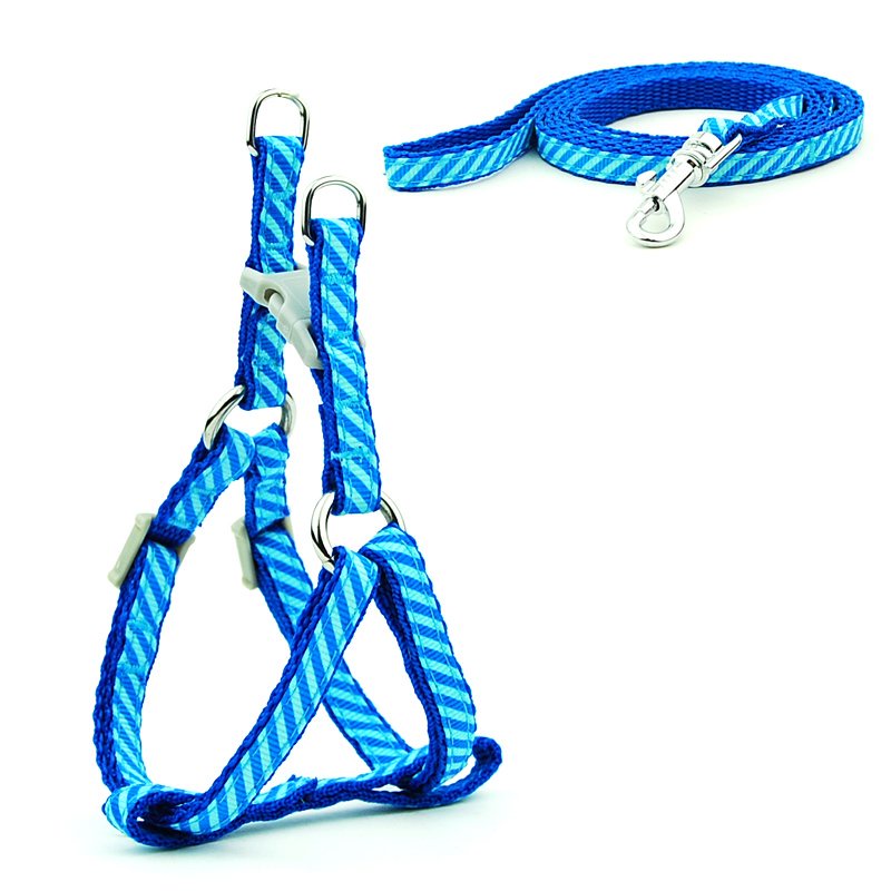 Xích cho chó đai ngực cỡ mini HAND IN HAND