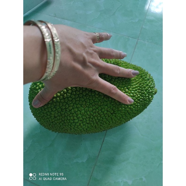 TRÁI MÍT NON.(khách sỉ inbox) nếu khách đặc không đc cứ inbox cho shop nhé