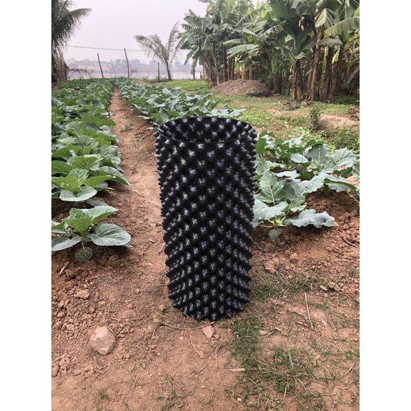 50m bầu v6- bầu quây cây thông minh cao 30cm dày 0,7mm (10-10,5kg/cuộn), có tặng kèm ốc vít