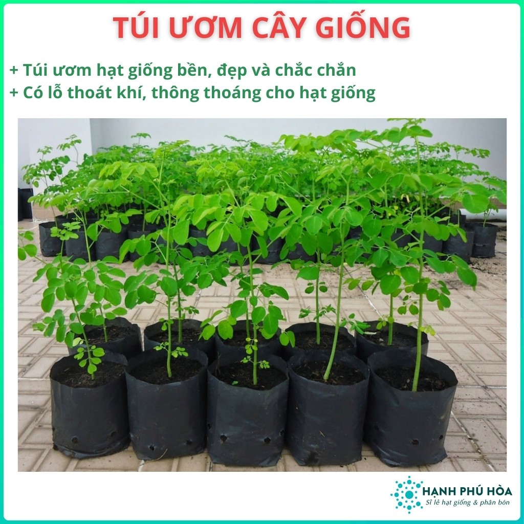 Túi Ươm Cây Giống-1kg-Chăm sóc Cây Giống- Chăm Sóc Cây-Trồng-Có lỗ thoáng nước- Đẹp-Bền