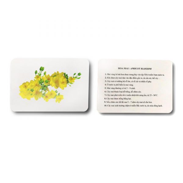 Flashcard Glenn Doman Dạy Bé Thế giới Xung Quanh - Bộ Thẻ Học Thông Minh Cho Bé Từ 0-6 tuổi 100 Thẻ