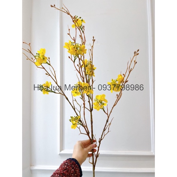 Cành Mai Vàng Châu Âu Giả Merber Loại 90cm - Cành Hoa Mai Lụa Decor Trang Trí Nhà, Decor Chụp Ảnh