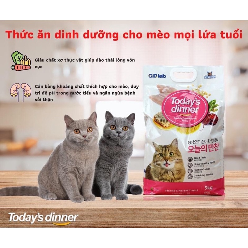 Hạt thức ăn mèo dành cho mọi lứa tuổi Today’s Diner 5kg